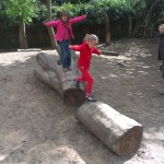 liggende boomstam_foto